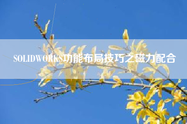 SOLIDWORKS功能布局技巧之磁力配合