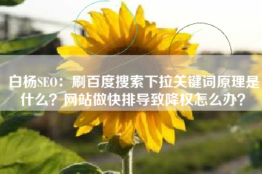 白杨SEO：刷百度搜索下拉关键词原理是什么？网站做快排导致降权怎么办？