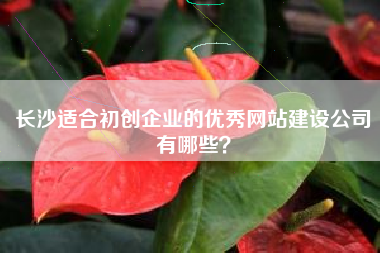 长沙适合初创企业的优秀网站建设公司有哪些？
