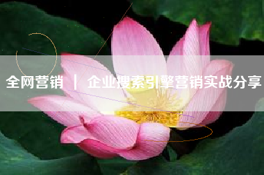全网营销 ｜ 企业搜索引擎营销实战分享