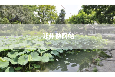 郑州做网站 郑州做网站