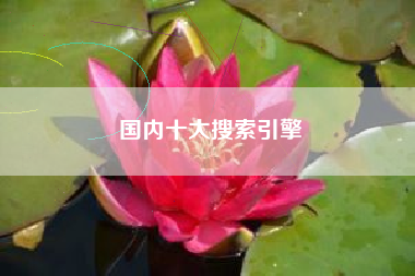 国内十大搜索引擎