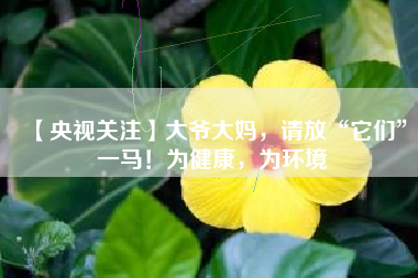 【央视关注】大爷大妈，请放“它们”一马！为健康，为环境