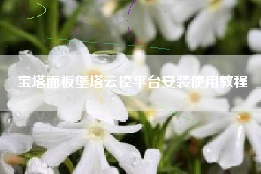 宝塔面板堡塔云控平台安装使用教程