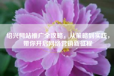 绍兴网站推广全攻略，从策略到实践，带你开启网络营销新征程