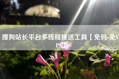搜狗站长平台多线程推送工具【免码-免VPS】