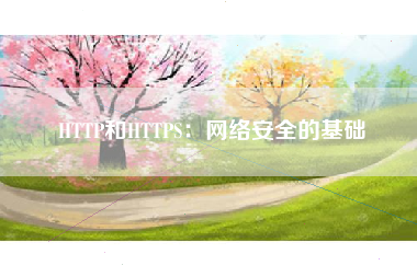 HTTP和HTTPS：网络安全的基础