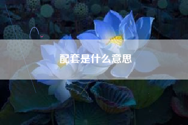 配套是什么意思