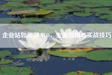 企业站如何做 SEO，全面指南与实战技巧