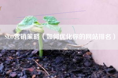 SEO营销策略（如何优化你的网站排名）