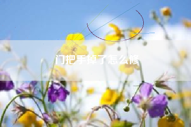 门把手掉了怎么修