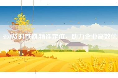 SEO及时查询,精准定位，助力企业高效优化