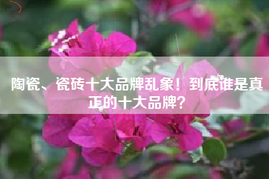陶瓷、瓷砖十大品牌乱象！到底谁是真正的十大品牌？