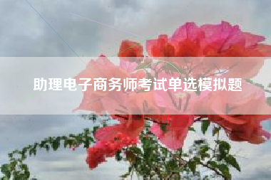 助理电子商务师考试单选模拟题