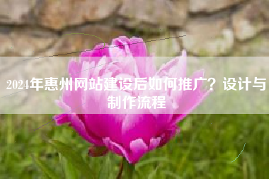 2024年惠州网站建设后如何推广？设计与制作流程