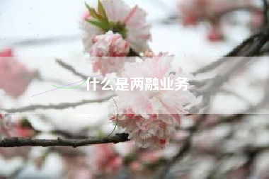 什么是两融业务