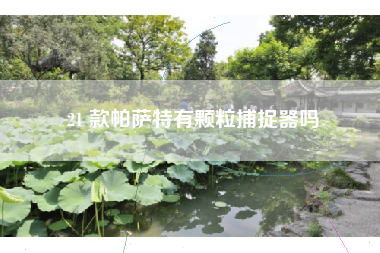 21 款帕萨特有颗粒捕捉器吗 21 款帕萨特有颗粒捕捉器吗