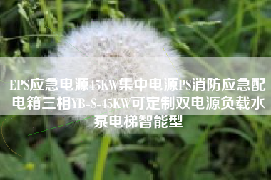 EPS应急电源45KW集中电源PS消防应急配电箱三相YB-S-45KW可定制双电源负载水泵电梯智能型
