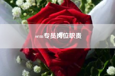 sem专员岗位职责