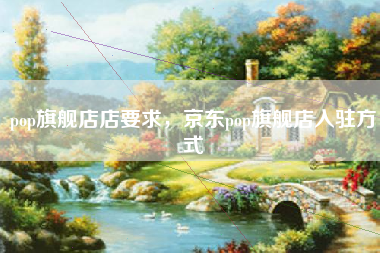 pop旗舰店店要求，京东pop旗舰店入驻方式