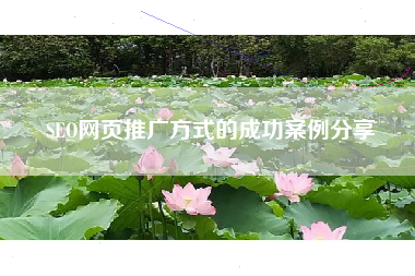 SEO网页推广方式的成功案例分享