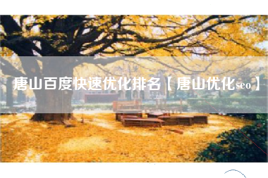 唐山百度快速优化排名【唐山优化seo】