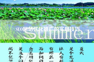 SEO网站优化推广的实用技巧