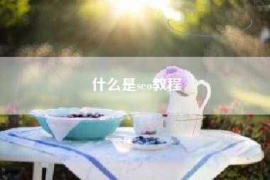 什么是seo教程