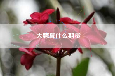 大蒜算什么期货