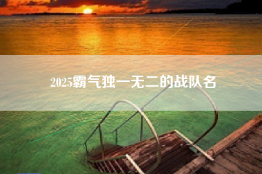 2025霸气独一无二的战队名