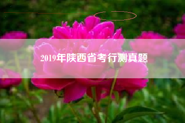2019年陕西省考行测真题