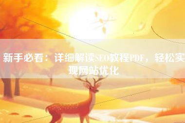 新手必看：详细解读SEO教程PDF，轻松实现网站优化