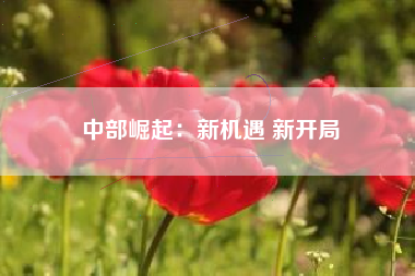 中部崛起：新机遇 新开局