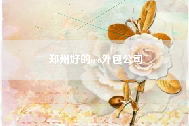郑州好的seo外包公司