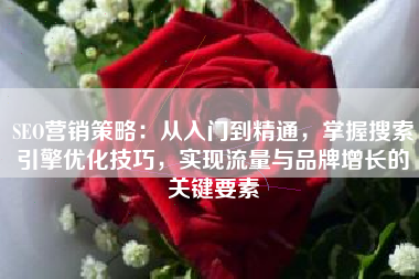 SEO营销策略：从入门到精通，掌握搜索引擎优化技巧，实现流量与品牌增长的关键要素