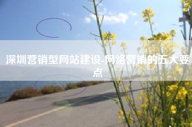 深圳营销型网站建设-网络营销的五大要点