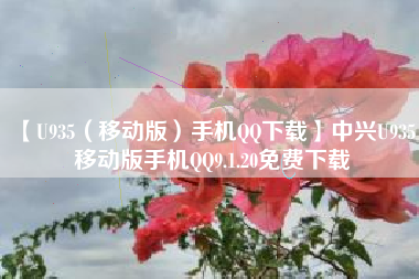 【U935(移动版)手机QQ下载】中兴U935 移动版手机QQ9.1.20免费下载 【U935(移动版)手机QQ下载】中兴U935 移动版手机QQ9.1.20免费下载
