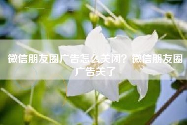 微信朋友圈广告怎么关闭？微信朋友圈广告关了