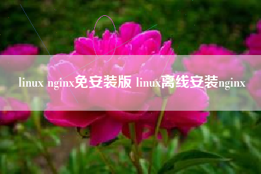 linux nginx免安装版 linux离线安装nginx