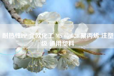 耐热性PP 北欧化工 MS 65 G20 聚丙烯 注塑级 通用塑料