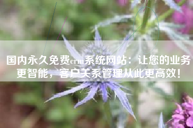 国内永久免费crm系统网站：让您的业务更智能，客户关系管理从此更高效！