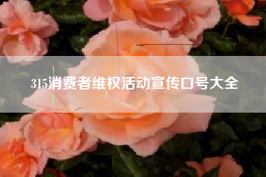315消费者维权活动宣传口号大全
