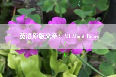 英语原版文章：All About Bears