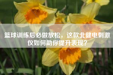 篮球训练后必做放松，这款北健电刺激仪如何助你提升表现？
