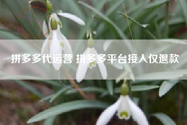 拼多多代运营 拼多多平台接入仅退款