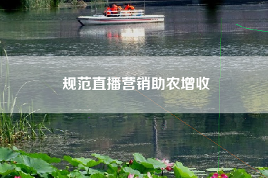 规范直播营销助农增收