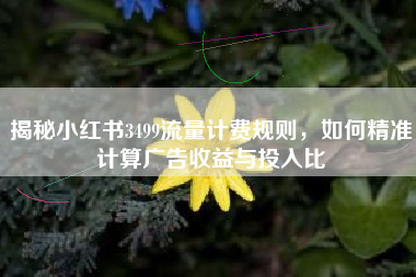 揭秘小红书3499流量计费规则，如何精准计算广告收益与投入比