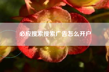 必应搜索搜索广告怎么开户