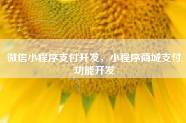 微信小程序支付开发，小程序商城支付功能开发