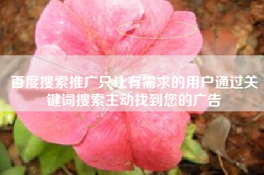 百度搜索推广只让有需求的用户通过关键词搜索主动找到您的广告 百度搜索推广只让有需求的用户通过关键词搜索主动找到您的广告